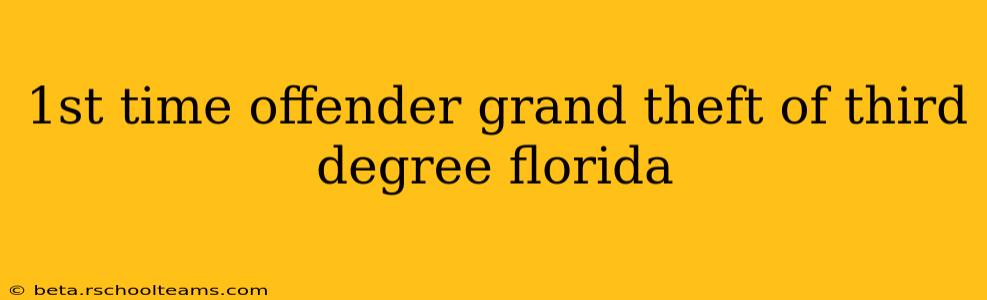 1st time offender grand theft of third degree florida
