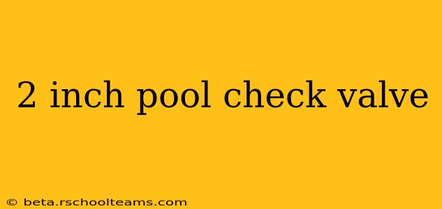 2 inch pool check valve