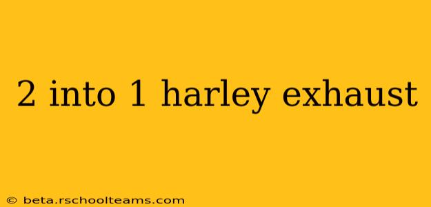 2 into 1 harley exhaust