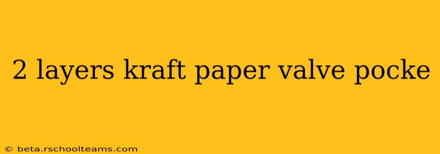 2 layers kraft paper valve pocke