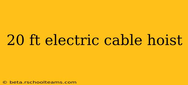 20 ft electric cable hoist