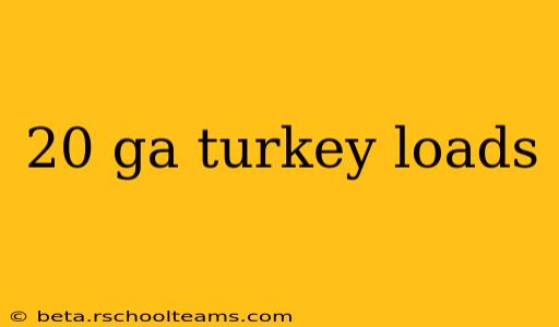 20 ga turkey loads