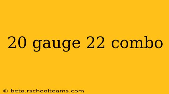 20 gauge 22 combo