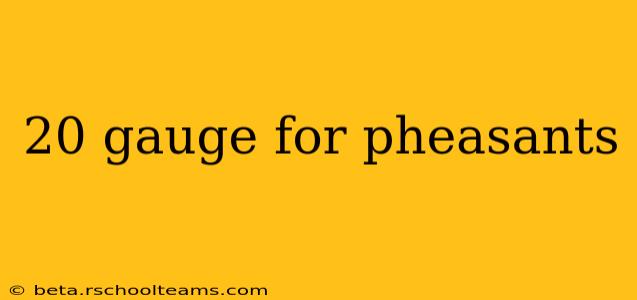 20 gauge for pheasants