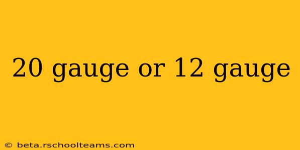 20 gauge or 12 gauge