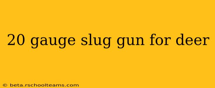 20 gauge slug gun for deer