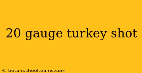 20 gauge turkey shot