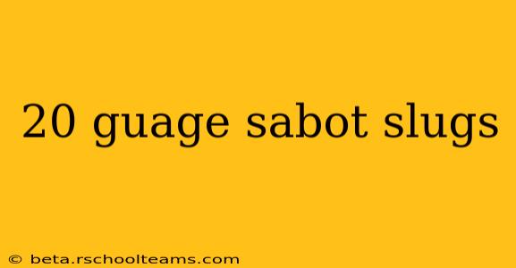 20 guage sabot slugs