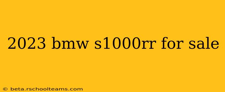2023 bmw s1000rr for sale