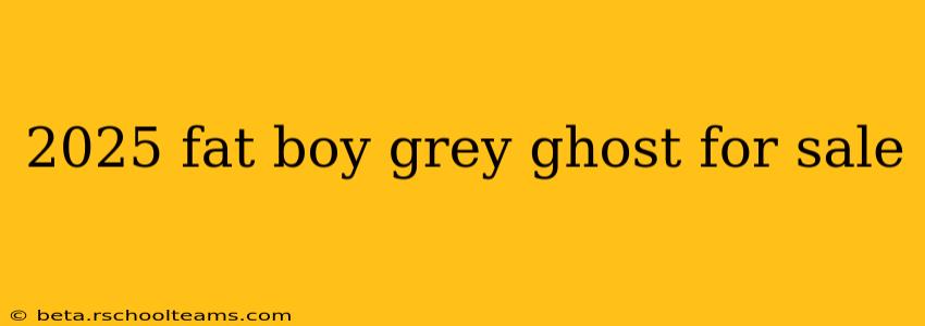2025 fat boy grey ghost for sale