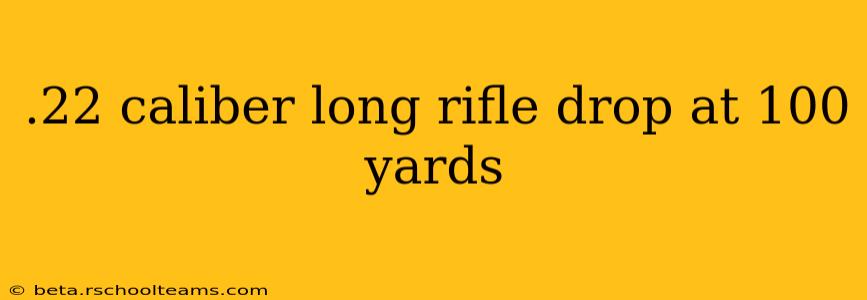 .22 caliber long rifle drop at 100 yards