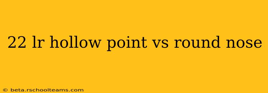 22 lr hollow point vs round nose