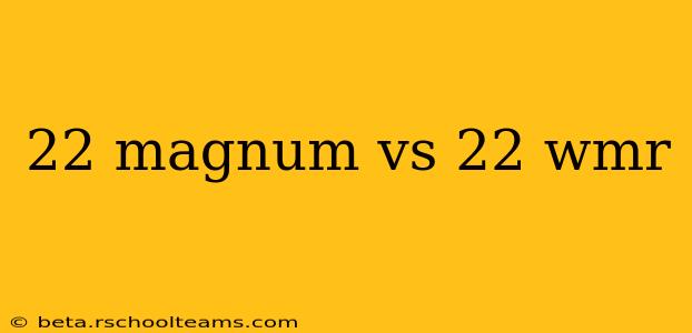 22 magnum vs 22 wmr