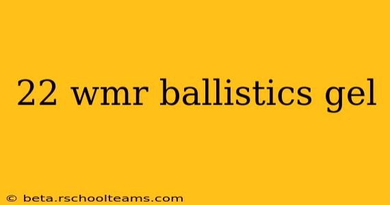 22 wmr ballistics gel