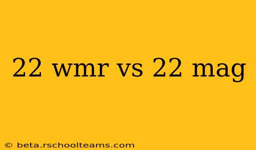 22 wmr vs 22 mag