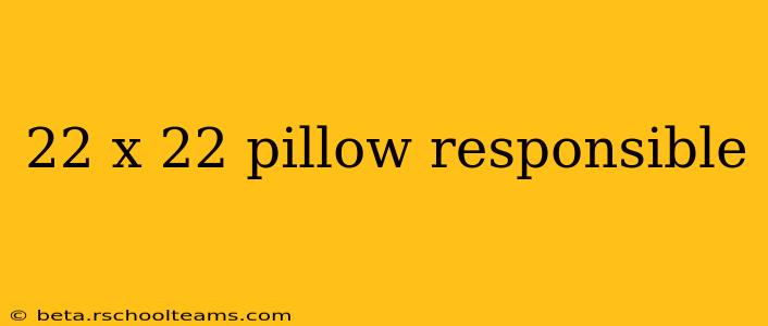 22 x 22 pillow responsible