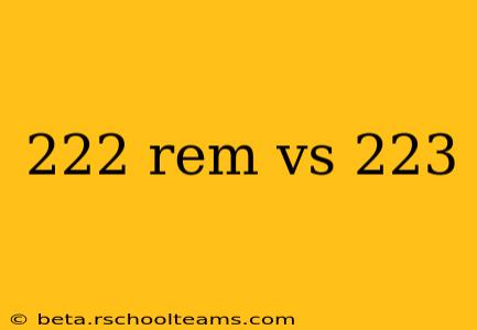 222 rem vs 223