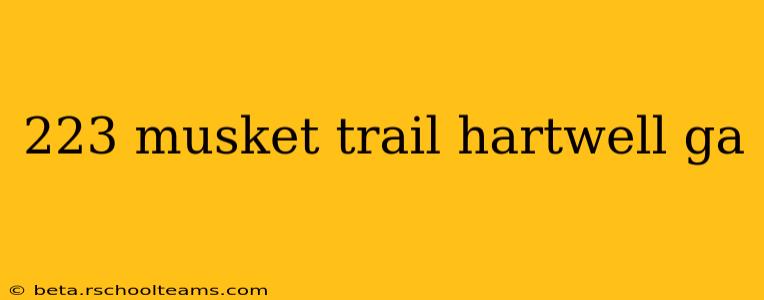 223 musket trail hartwell ga