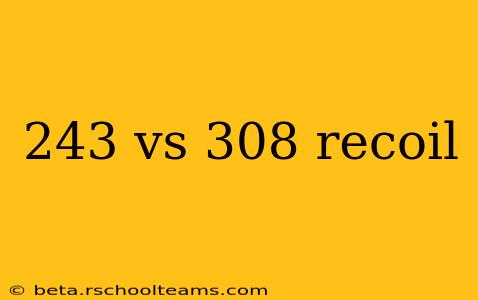 243 vs 308 recoil