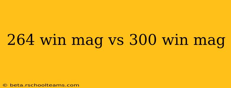 264 win mag vs 300 win mag