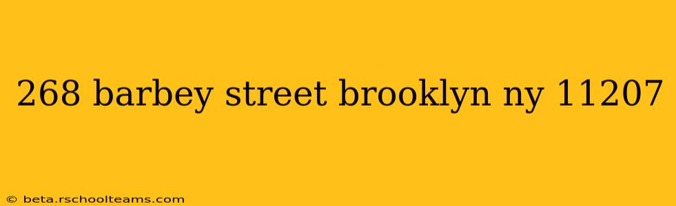 268 barbey street brooklyn ny 11207