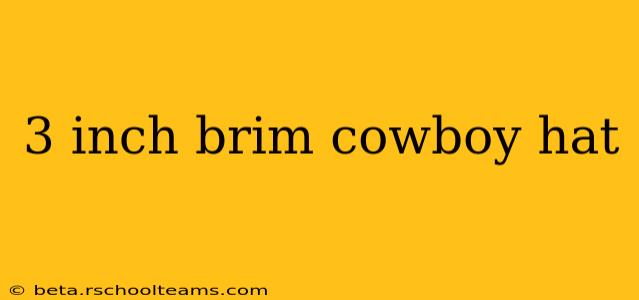 3 inch brim cowboy hat