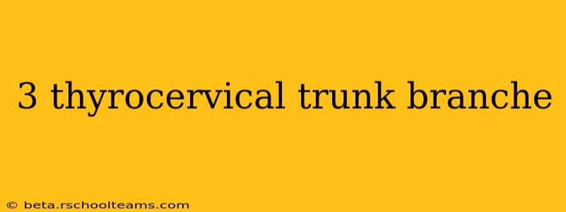 3 thyrocervical trunk branche