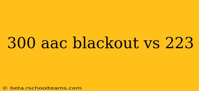 300 aac blackout vs 223