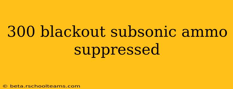 300 blackout subsonic ammo suppressed