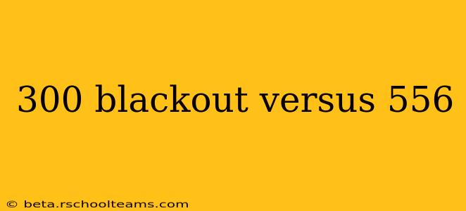 300 blackout versus 556