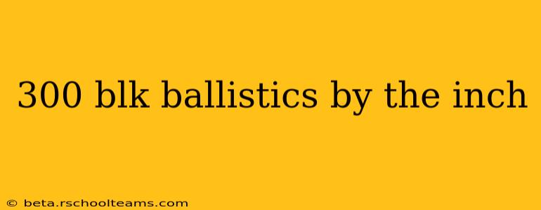 300 blk ballistics by the inch