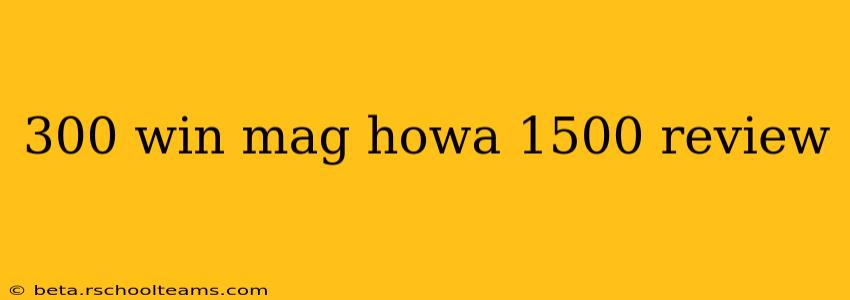 300 win mag howa 1500 review