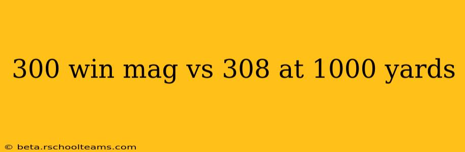 300 win mag vs 308 at 1000 yards
