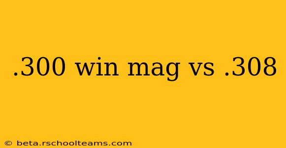 .300 win mag vs .308
