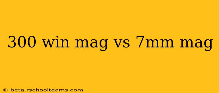 300 win mag vs 7mm mag