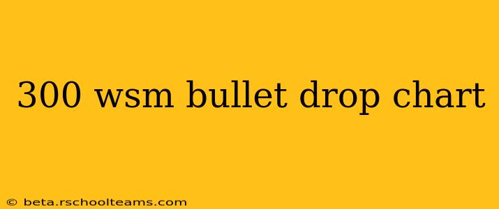300 wsm bullet drop chart