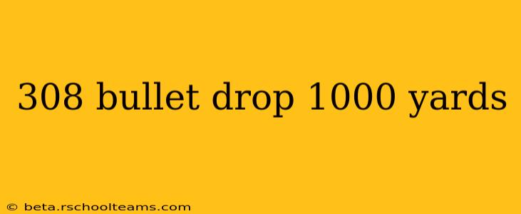 308 bullet drop 1000 yards