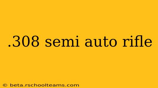 .308 semi auto rifle
