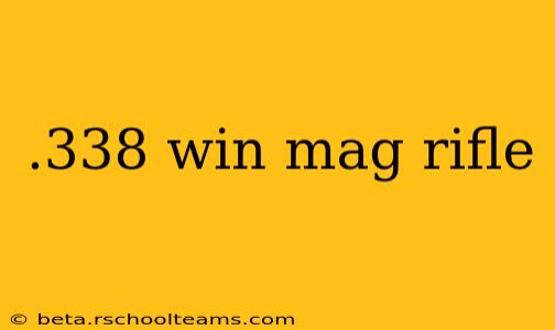 .338 win mag rifle