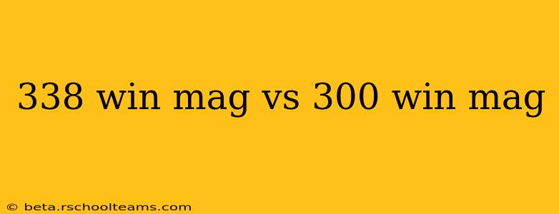 338 win mag vs 300 win mag