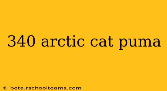 340 arctic cat puma