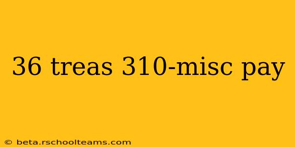 36 treas 310-misc pay