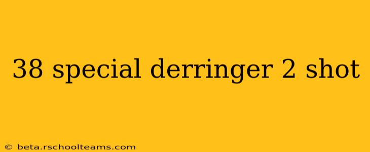 38 special derringer 2 shot