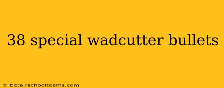 38 special wadcutter bullets