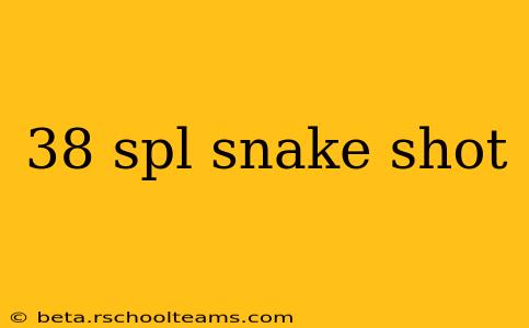 38 spl snake shot