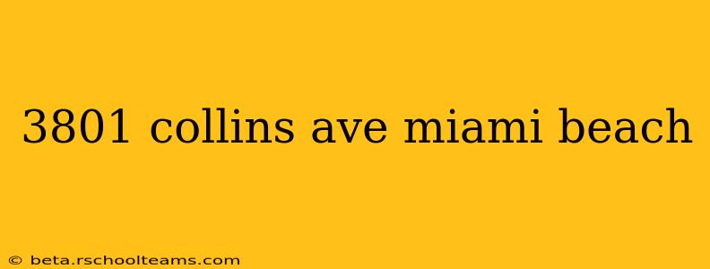 3801 collins ave miami beach