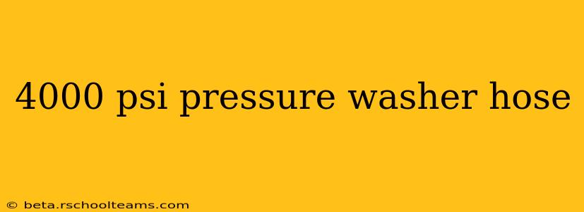 4000 psi pressure washer hose