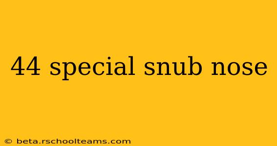 44 special snub nose