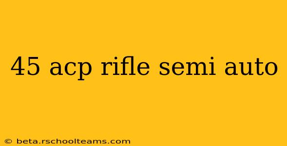 45 acp rifle semi auto