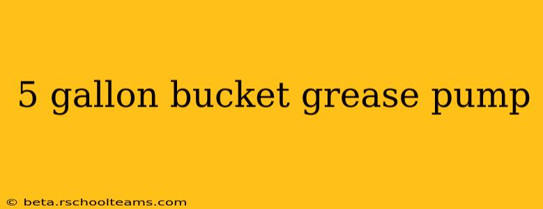 5 gallon bucket grease pump